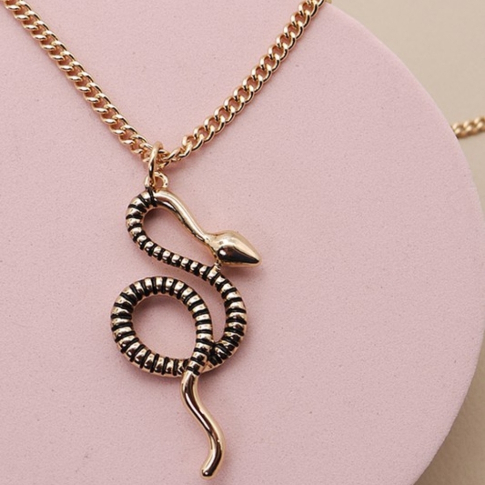 Snake Charm Necklace